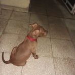 Oscar Isidro Chong - Facebook