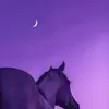 Isidro Galván - @isidro.galvn - TikTok