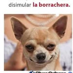 Isidro Jacobo - @isidro.jacobo.5496 - Instagram