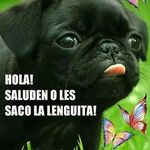 Isidro Lemus - @isidro.lemus.946 - Instagram