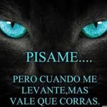 Isidro Vazquez Limon - @isidrovazquezlimon - Instagram