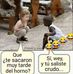 Isidro Macias - Facebook