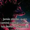 isidromares - @isidromares - TikTok