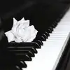 Isidro Medrano - @isidromedrano1 - TikTok