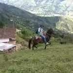 Isidro Muñoz - @isidro.munoz.716 - Instagram