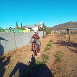 Isidro Muñoz - @isidro.munoz.50 - Instagram