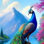Isidro Olvera - Facebook