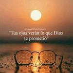 Isidro Rocha - @magnetograph - Instagram