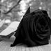 Isilda Freitas - Facebook