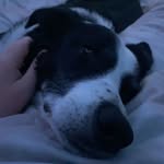 Isla Henderson - @stinky_064 - Instagram