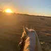 Isla Henderson - @isla.henderson07equ - TikTok