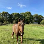 Isla Mitchell - Facebook