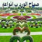 ismael abdullah - @ismaelabdullah082 - Instagram