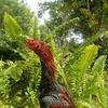 Ismael Abdullah - @ismaelabdullah73 - TikTok