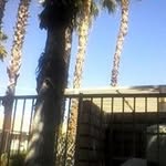 Ismael Aispuro - @ismael.aispuro.52 - Instagram