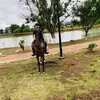 Ismael Chaparro - @ismael.chaparro2 - TikTok