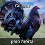 Ismael Nevarez - Facebook
