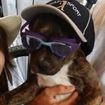 Ismael Perez Puente - @ismaelperezpuente - Instagram