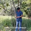 Ismael QUEZADA - @user9161342886650 - TikTok