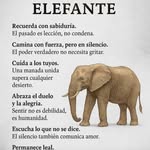 Ismael Samano - @samano3097 - Instagram
