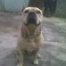 Ismael scott - Facebook