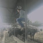 @ismael._serna - Instagram
