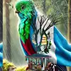 ismael.simon - @ismael.simon64 - TikTok