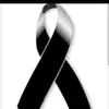Ismael Tavarez - @ismael.tavarez8 - TikTok