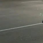 Ismael Tinoco - @ismaeltinoco23 - Instagram