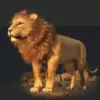 Ⓐⓨⓞⓤⓑ ⓘⓢⓜⓐⓘⓛ - @ayoub.ismail7 - TikTok