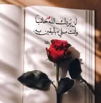 Ismail Ayoub - Facebook