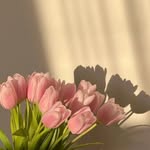 Ismail Azzam - @ismailazzam83 - Instagram