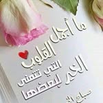 Ismail Bitar - @aismail86 - Instagram