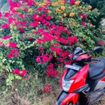 Ismail Faris - @arees_3_vb - Instagram