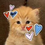 Esmail M Gray - Facebook