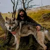 ismailhallak7 - @ismailhallak7 - TikTok