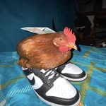 ismail._.67 - @ismail._.hasan - Instagram
