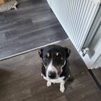 Isobel Taylor - Facebook
