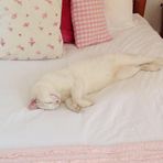 Isobel Wells - Facebook