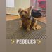 Isobel White - Facebook