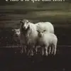 isolina - @isolinaramos62 - TikTok