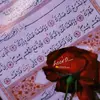 Israa  Mohammad - @israa.mohammad363 - TikTok