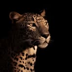 Israa Mohammad - Facebook