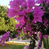 israa mohammad - @israa7898 - TikTok