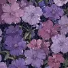 disraelbaker - @disrael.baker - TikTok