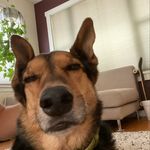 israel brown - @israelbrown00 - Instagram