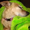 Israel Mares - @israel.mares0 - TikTok