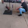 Israel Mares - @israel.mares71 - TikTok