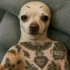 Israel Servin - @israel.servin1 - TikTok