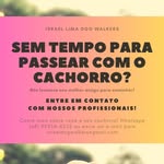 Israel Lima Dog Walker - @israel.lima.dog.walker - Instagram